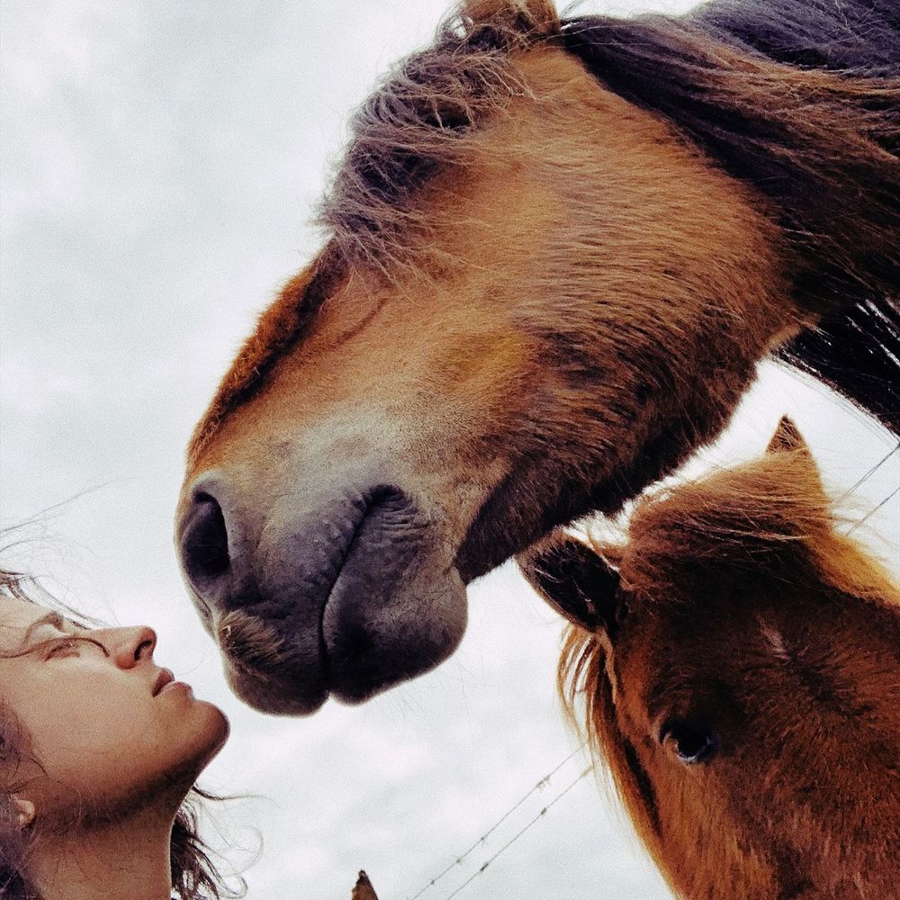 Meet your Posher, Taren